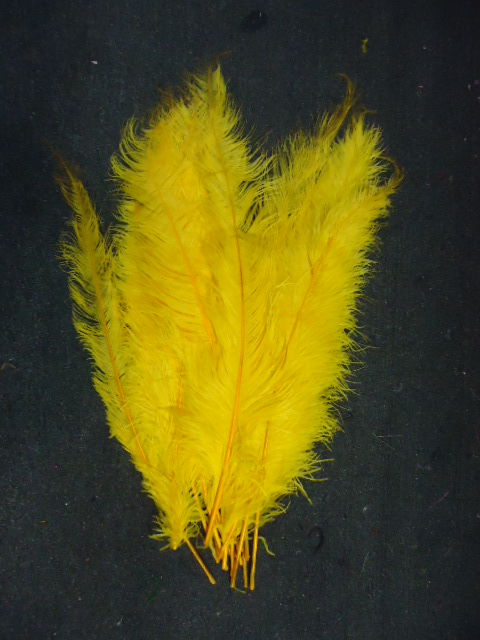 Ostrich Feather Plume 18-24 INCH YELLOW GOLD